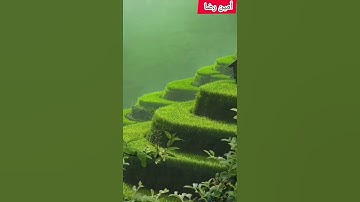 ترك الصلاة وهجر القرآن الكريم...قلق دائم وضنك في الحياة
