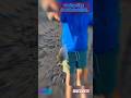Herrera mabre pesca surfcasting fishing pche youtubeshorts espaa fishing2024 