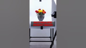 Save Time & Money: Lionvaplus AI Product Images Walkthrough for $29.99/mo at lionvaplus.com