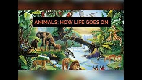 Animals: How Life Goes On Chapter 8 Class 4th