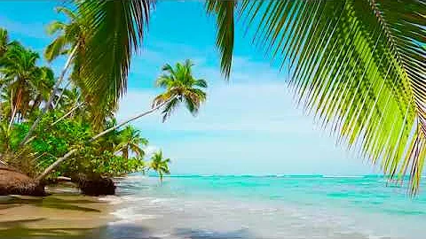 4k Palm Forest on the Beach. Relaxing Ocean Waves, Nature Sounds, Ocean Sounds for Sleep Meditation.