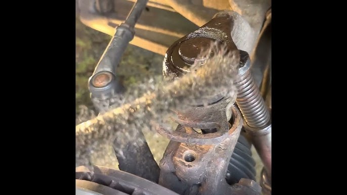 Еліктіргіш жалаңаш үй шаруасындағы әйелдер Асф Днепр