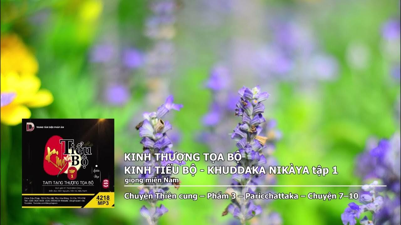 Tập 1 – Chuyện Thiên cung – Phẩm 3 – Paricchattaka – Chuyện 7–10 giọng miền Nam 