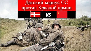 Датский корпус СС против Красной армии. Датский корпус СС против Красной армии.