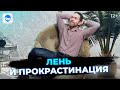 Как побороть лень и перестать откладывать дела на потом? Прокрастинация, лень, хронофаги.