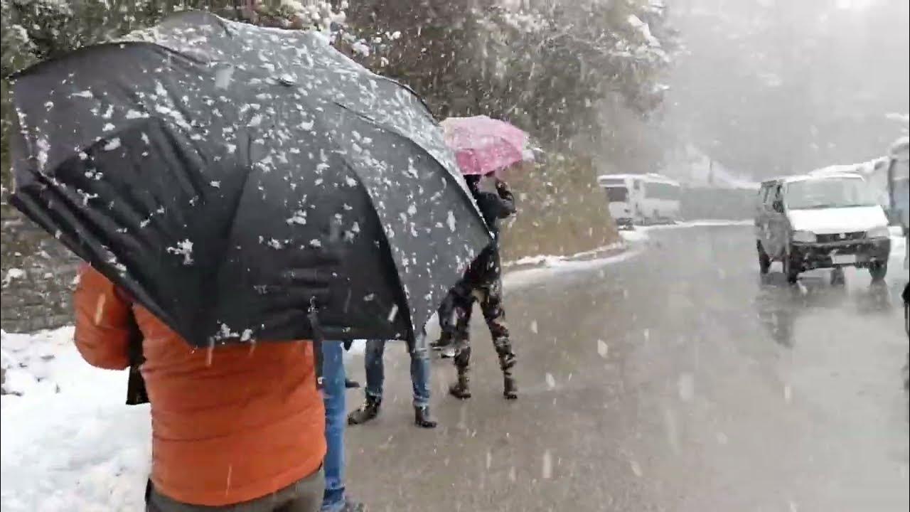 Shimla tour himachal pradesh snow fall bengali vlog YouTube