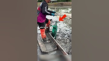 Cách người Thái Lan đánh đường nước và trang phẳng ruộng đẹp mắt #shorts