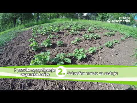 Video: Savjeti za baštovanstvo za početnike – Kako započeti vrt