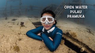 Open Water Pulau Pramuka