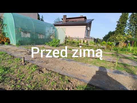 Wideo: Czy to odkaża czy odkaża?