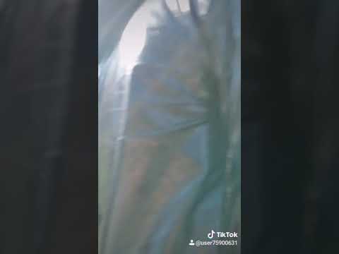مقلب فائز السنفور تموت ضحك خليت فائز يكفر والله