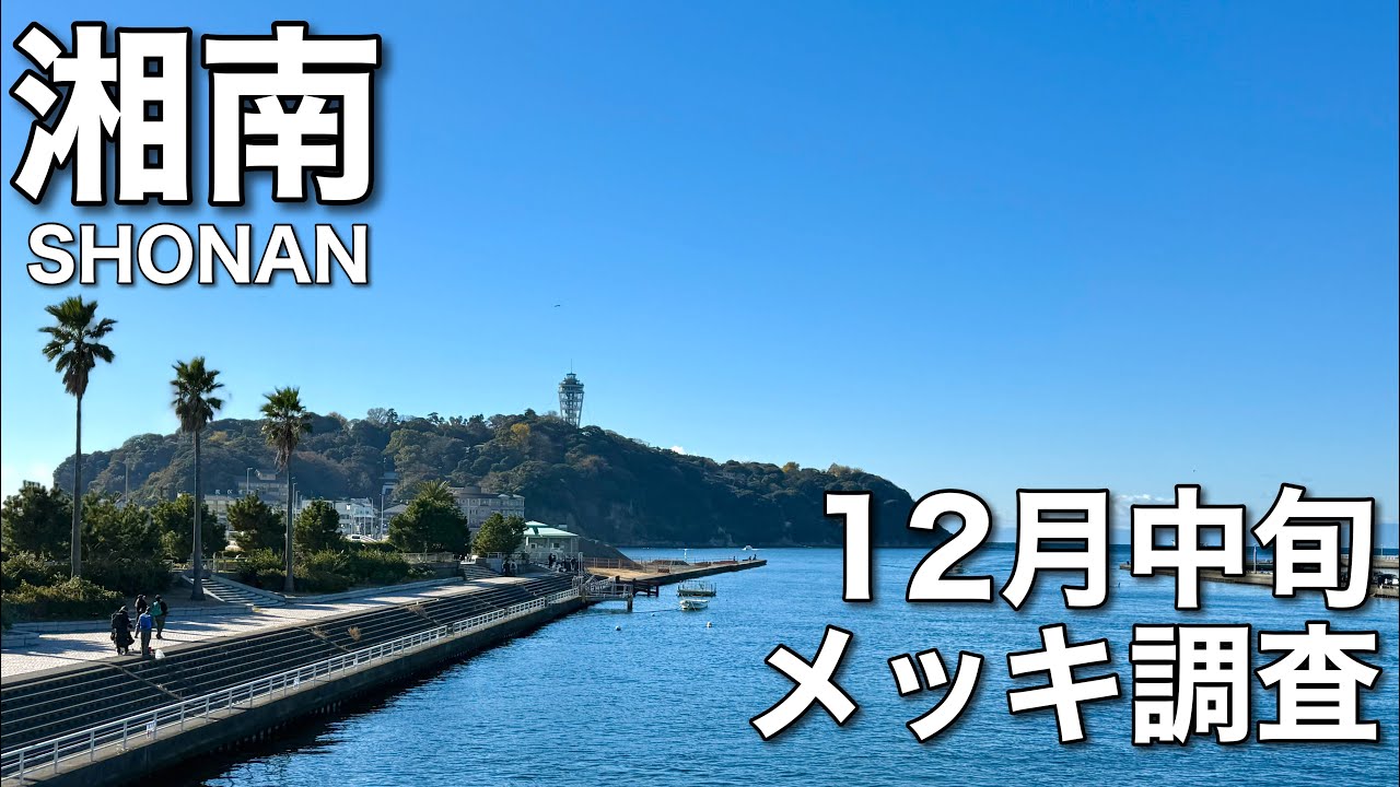 湘南 メッキ調査 【12月中旬爆釣神回！！】