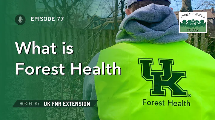 What is Forest Health? - From the Woods Today - Episode 77 - DayDayNews