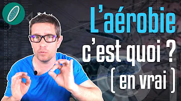 Qu'est-ce que l'entraînement aérobie ?