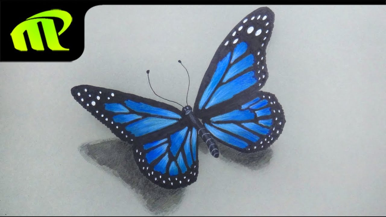 How to Draw a Butterfly Step by Step: Easy Tutorial for Beginners -  Enlighten The Life