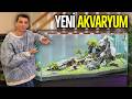 Akvaryumumu Sıfırdan Tasarladım!