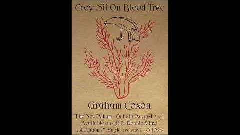 Graham Coxon - Lamacq Live BBC Session 2001