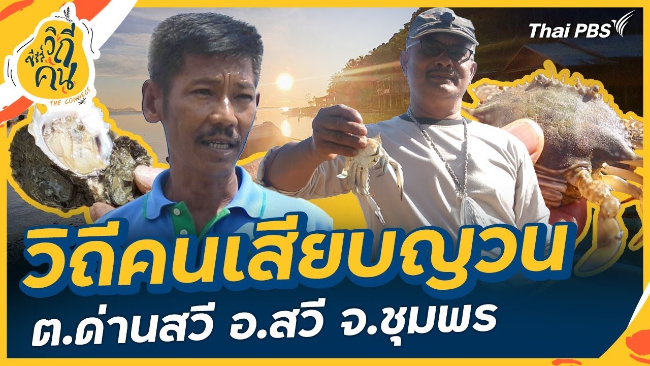 วิถีคนเสียบญวน ต.ด่านสวี อ.สวี จ.ชุมพร | ซีรีส์วิถีคน