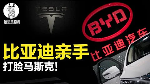 马斯克曾嘲笑比亚迪，如今销量被反超，比亚迪会反超特斯拉吗？ 【硬核熊猫说】 - 天天要闻