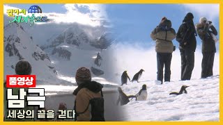 [걸어서세계속으로Full📺] 크루즈를 타고 떠나는 아름다운 항해, 세상의 끝 '남극' 여행 Trip to Antarctic (KBS_20110205)
