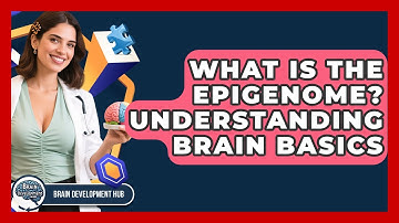 What Is The Epigenome? Understanding Brain Basics - Brain Development Hub