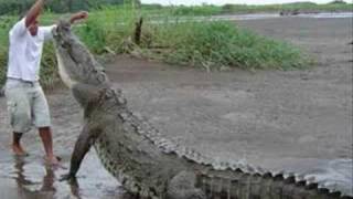 Rolf Harris :: Never Smile at a Crocodile (with lyrics) chords