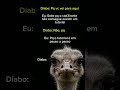 SHORT ALEATÓRIO#memes#memefras#shortvideo#tentenaorir#humor#memesbr#memepage#fyppppppppシ #fyp