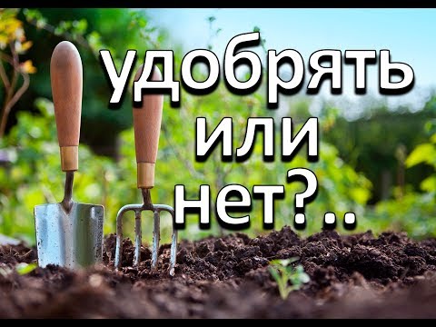 Нужно ли использовать удобрения осенью.