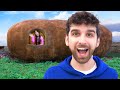 I lived inside a giant potato