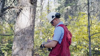 Occupational Video - Forester