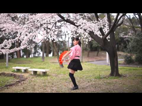 【足太ぺんた】千本桜　踊ってみた【桜の下で】 HD