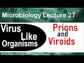 Prions and viroids