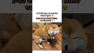 Moh maya #catmemes #relatablememes #viralmemes #explore #aestheticstatus #popular #memes #shorts
