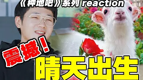 【種地吧】reaction！誰會想到綜藝能這麼震撼？！ - 天天要聞