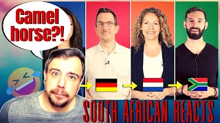 SOUTH AFRICAN REACTS! │ English vs. German vs. Dutch vs. Afrikaans