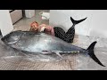 150KG!!! 끝판왕 통참치 해체 650만원 지갑파괴술 Cutting a Giant Bluefin Tuna