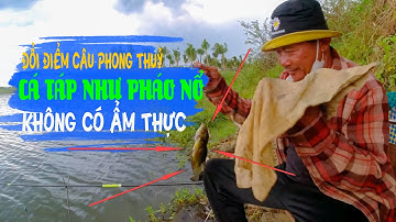 CÁ TÁP NHƯ PHÁO NỔ, KHÔNG CÓ BỘI THU, ĐỔI ĐIỂM CÂU  (HỒ SUỐI RAO - HỒ CÂY CÓC) | NATURAL FISHING