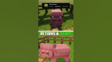 Minecraft Animations: Fresh Animations (Java) VS Actions n Stuff 1.4 (Bedrock)