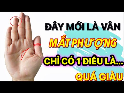 Video Người sở hữu Vân Mắt Phượng trên bàn tay mang ý nghĩa... - youtube