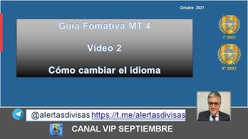 MT4.  2º Vídeo.  Cómo cambiar el idioma MT 4