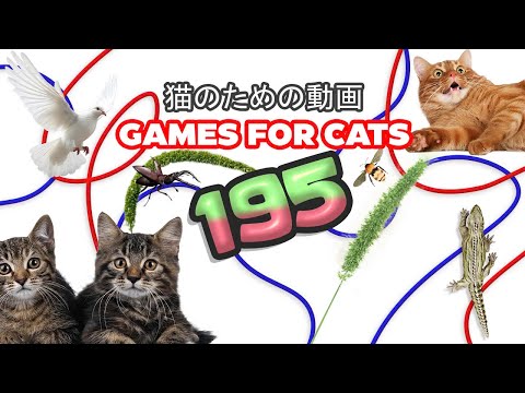 ネズミの群棲/Rat Colony 日本語 サインド 14枚セット Rats