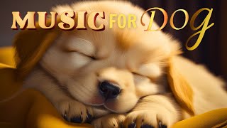 INSOMNIA HEALING MUSICSleep Music for Dogs & PetsMusic Helps Reduce Anxiety When Dog are Separated
