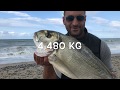 Surfcasting - Big ORATA 4,5 kg col verme di Rimini . Adrenalina pura e EMOZIONI