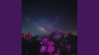 Long Nights