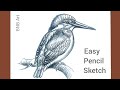 How to Draw an Indian Kingfisher Bird Step by Step | Detailed Pencil Drawing for Beginners...