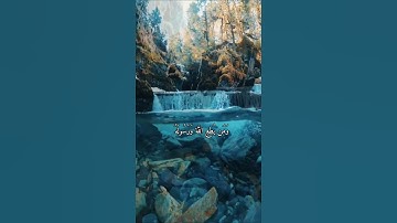 واتس اب قران كريم القارئ ياسر الدوسري من سورة (الأحزاب)