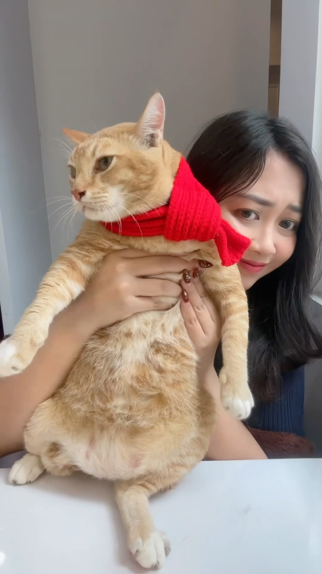 SIAPA YANG SUKA KUCING?? ?☝?| Klara Tania #shorts