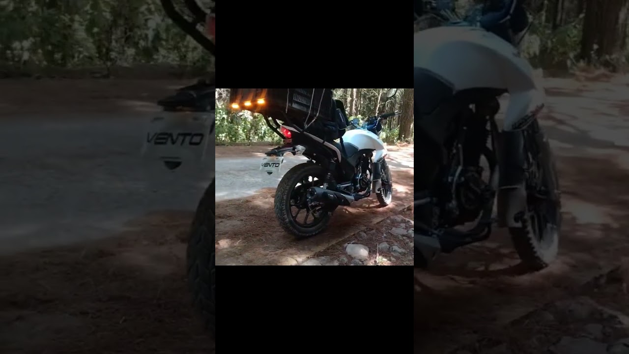 VENTO WORKMAN 250 HEAVY DUTY EN ACCIÓN 