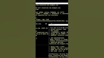 How to install, setup and troubleshoot a DNS server in Linux. And the Clients too.Let