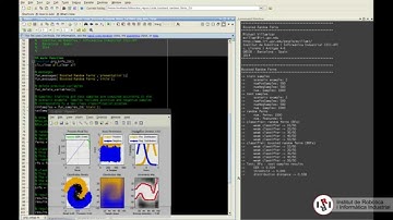 Boosted Random Ferns 2D (BRFs) [MATLAB Code Demo]